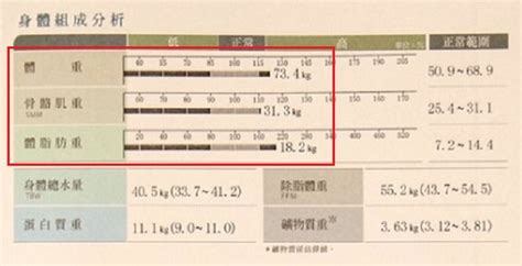 體型分析|看不懂INBODY數據怎麼辦！專業教練簡單解析C、I。